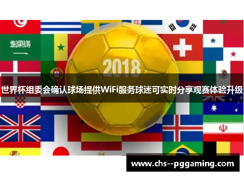 世界杯组委会确认球场提供WiFi服务球迷可实时分享观赛体验升级