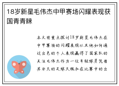 18岁新星毛伟杰中甲赛场闪耀表现获国青青睐